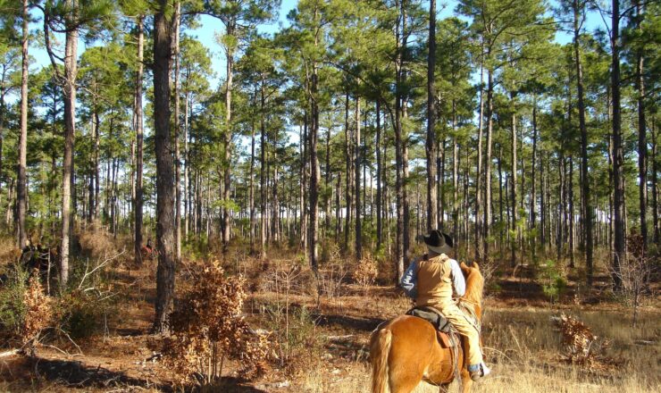 Dr. Michael R. Privett listens as one of the riders calls out what they found in their area search. All items were documented by Fort Jackson Master Hunter Sgt. 1st Class Kyle Martin.