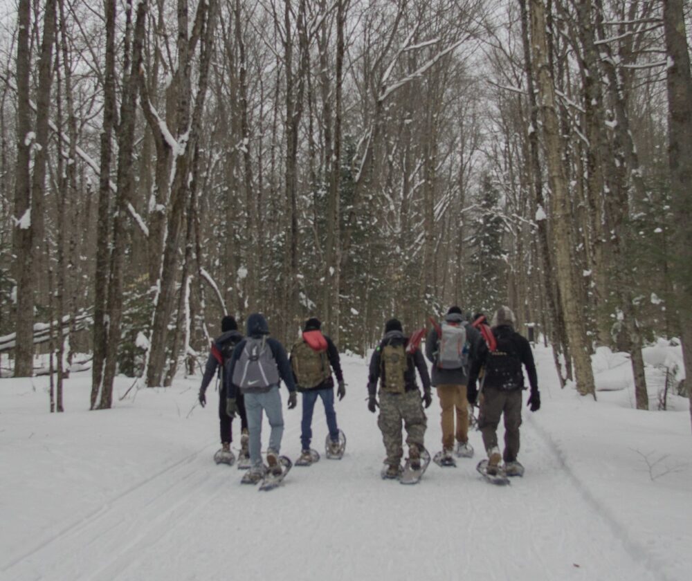 A group snow-shoeing through a winter forest