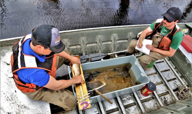 Watershed management biologists Steve Rood and Derek Maki with the Colorado State University Center for Environmental Management of Military Lands conduct a fish survey at Swamp Pond on April 30, 2018, at Fort McCoy, Wis. The fish surveys, according to Fisheries Biologist John Noble with the Directorate of Public Works Environmental Division Natural Resources Branch, are necessary to determine the health of the installation’s many waterways. The surveys produce data that is critical for fisheries management. Surveys include electrofishing streams and netting and electrofishing lakes and ponds, Noble said. Much care is taken to ensure the fish caught are not harmed. Fish caught include rainbow, brook, and brown trout; bluegills; bass; pumpkinseed; crappies; and other warm-water species. (U.S. Army Photo by Scott T. Sturkol, Public Affairs Office, Fort McCoy, Wis.)