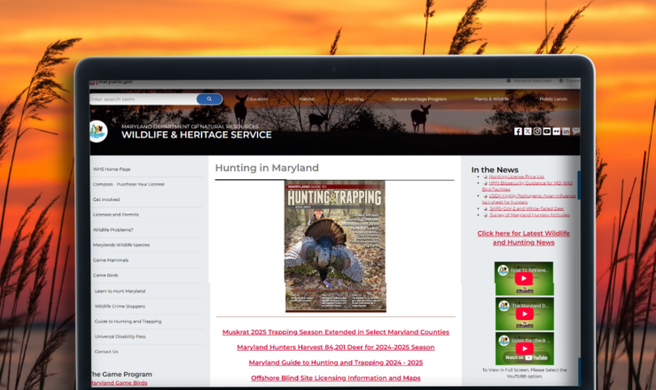 A computer showing the maryland hunting regulations