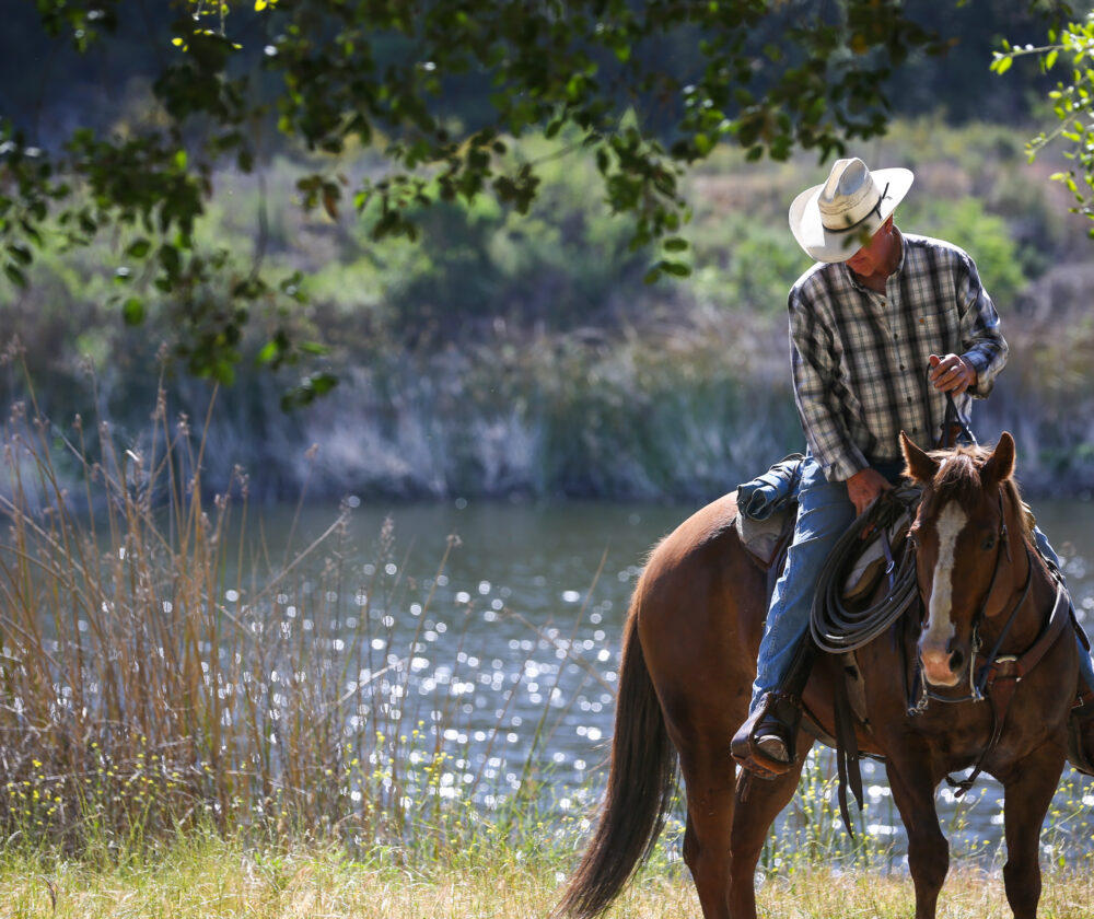 on Phelps and his horse takes a break during the 2nd Annual Camp Pendleton Historic Ride on Camp Pendleton, Calif. May 5, 2018. The Historic Ride is held to afford participants the opportunity to see Camp Pendleton from horseback. The route taken pays homage to its evolution from the Rancho Santa Margarita y Las Flores Ranch in 1841 to the Marine Corps’ premier training base on the West Coast. (U.S. Marine Corps photo by Cpl. Juan C. Bustos)