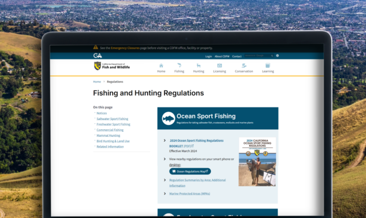 computer showing hunting regulations for california
