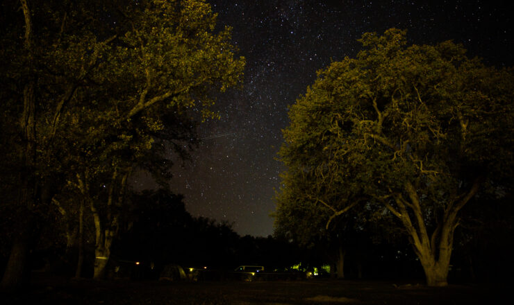 U.S. Marines and Sailors with Combat Logistics Battalion 5, Combat Logistics Regiment 1, 1st Marine Logistics Group, sleep in tents during Exercise Steel Knight 22 (SK-22) at Fort Hunter Liggett, California, Dec. 1, 2021. SK-22 is a 1st Marine Division led annual training exercise which enables the Navy-Marine Corps team to operate in a realistic, combined-arms environment to enhance naval warfighting tactics, techniques and procedures. (U.S. Marine Corps photo by Lance Cpl. Mackenzie Binion)