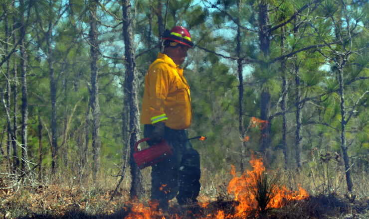 Ian Smith, Fort Jackson Forestry Branch Fire Management Officer, sets a test burn in an area to verify which way the wind is blowing. (Photo Credit: Mr. Ron Lester (Fort Jackson))