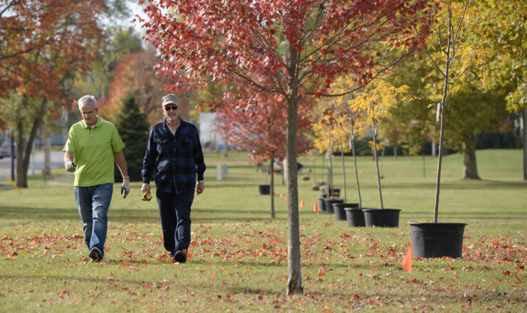 Dave Liette, left, president, military operations, Properties at Wright Field, and Charley McMaster inspect new trees to be planted on the housing development at Wright-Patterson Air Force Base, Ohio, Oct. 14, 2020. Through a grant from the Arbor Day Foundation, eighty-three trees of four different varieties were purchased from local nurseries to replace trees lost from tornadoes in 2019. (U.S. Air Force photo by Ty Greenlees)