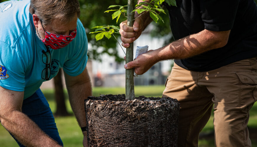 Greg Lee, left, 23d Civil Engineer Squadron environmental element chief, helps John Crain, 23d CES forester, remove a swamp chestnut oak tree from a bucket at Moody Air Force Base, Georgia, April 30, 2021. The swamp chestnut oak tree will be the newest addition to a variety of trees on a patch of land dubbed Tree City USA Park on Georgia Street, west of the 23d Medical Group campus. (U.S. Air Force photo by Senior Airman Hayden Legg)