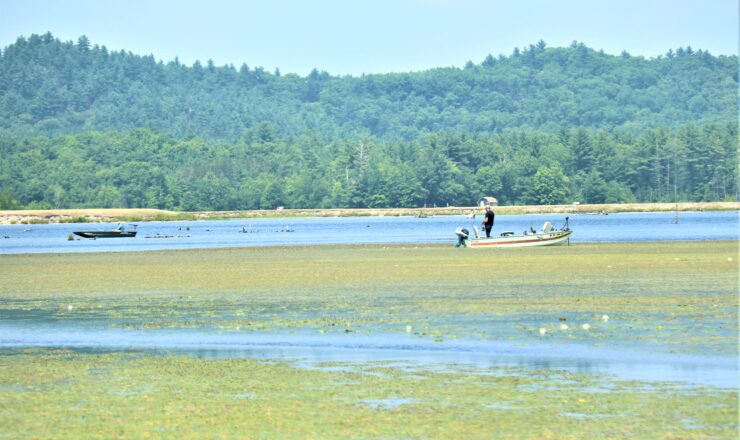 Visitors to Fort McCoy do some fishing at North Flowage on North Post on June 16, 2023, at Fort McCoy, Wis. Anglers must have the appropriate Fort McCoy permits and Wisconsin licenses to fish on post. This includes a general Wisconsin fishing license, a trout stamp if fishing for trout, and a Fort McCoy fishing permit. For more Fort McCoy fishing information and to identify which waters are open for fishing, contact visit the Fort McCoy i-Sportsman website at https://ftmccoy.isportsman.net. (U.S. Army Photo by Scott T. Sturkol, Public Affairs Office, Fort McCoy, Wis.)