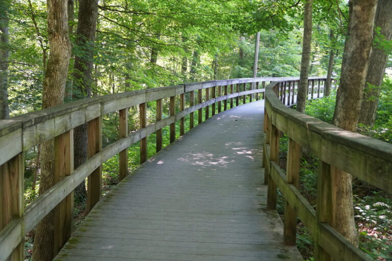 The wooden walking path at Mammoth Cave National Park near Kentucky, U.S.A