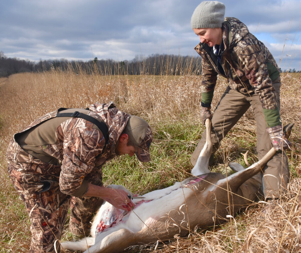 Hunters work to field dress a deer